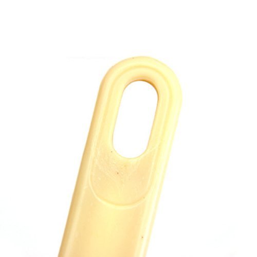 Futaba Fish Scale Cleaner Scraper Remover with Lid 4