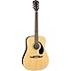 Fender FA-125 Dreadnought w/bag, Walnut Fingerboard, Natural