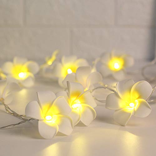 Andoer 20 LEDs 9,84 pés de luz de corda em forma de flor piscando luzes de fada branco quente luzes