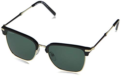 Salvatore Ferragamo SF227SM