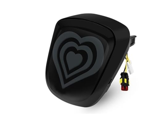 Feu arrière à LED pour moto anti-collision avec clignotant cœur pour Primavera 150