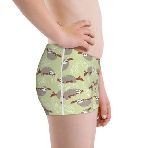 Boys' Cotton Boxer Brief Soft Underwear-Twig Sloth2