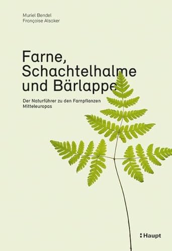Farne, Schachtelhalme und Bärlappe: Der Naturführer zu den Farnpflanzen Mitteleuropas