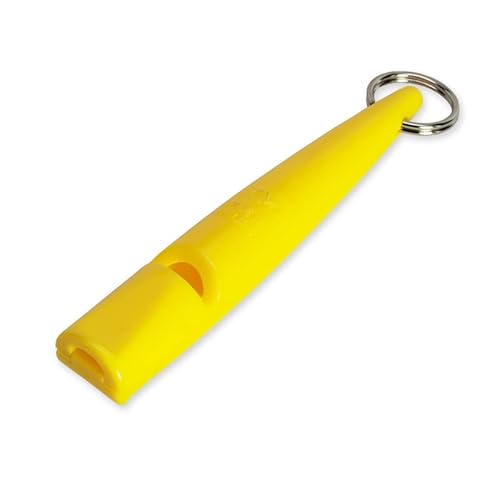 Training Dog with Acme Whistle