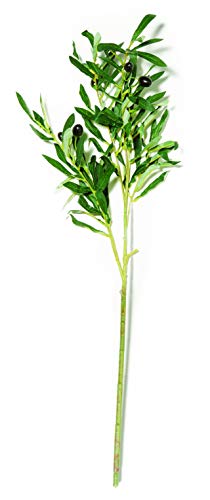 PLANTA PERMANENTE