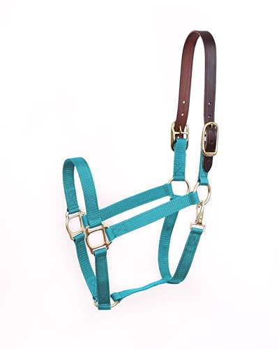 Perris Economy Safety Halter Horse Turquoise