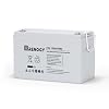 Renogy Deep Cycle AGM 12 Volt 100Ah Battery, 3% Self-Discharge Rate, 1100A Max Discharge Current, Safe Charge Appliances for RV, Camping, Cabin, Marine and Off-Grid System, Maintenance-Free