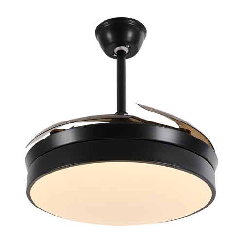 POAdwhmnr Ceiling Fans with Lights and Remote, Modern Flush Mount LED Fan Light, Fandelier Ceiling Fans for Bedroom