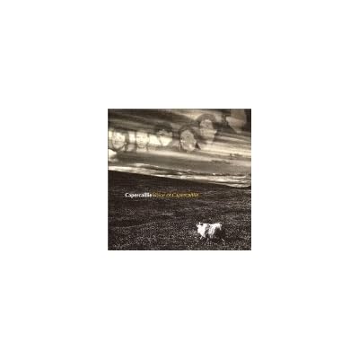 ヴォイス・オブ・カパーケリー