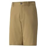 Picture of PUMA Boys' Stretch Short, Antique Bronze, Small