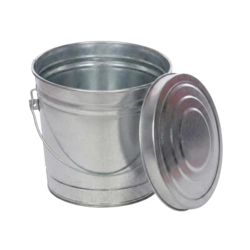 6 Gallon Galvanized Steel Locking Lid Storage Can, Heavy-Duty Metal Storage Bucket with Wire Bail Handle, Galvanized Steel Trash Can for Bird Seed, Pet Food, Charcoal, Yard Waste