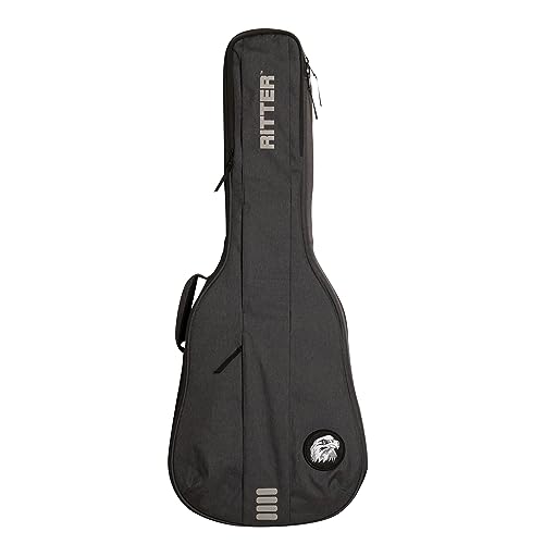 Amazon.co.jp: RITTER RGB4‑D ANT BERN Dreadnought アコースティック