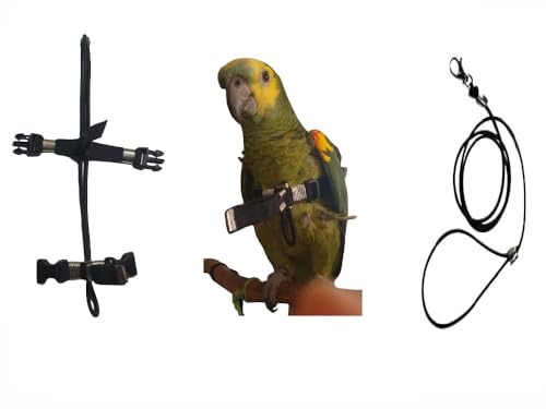 Arnés mediano para loros y cacatúas con enganches ajustables negros 6