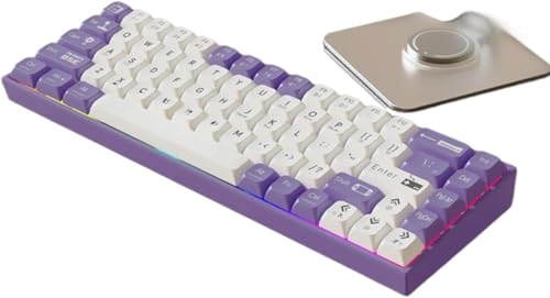 LumoLight���J�j�J���L�[�{�[�h Pro �V���[�Y ���C�X�C�b�` �Q�[���p ������� 68 �L�[ USB �L�� �p��/US �z�� ���s�b�h�g���K�[ RGB �o�b�N���C�g Windows/Mac/PS4 �Ή� �R���p�N�g ���������xK6 (�p�[�v��)