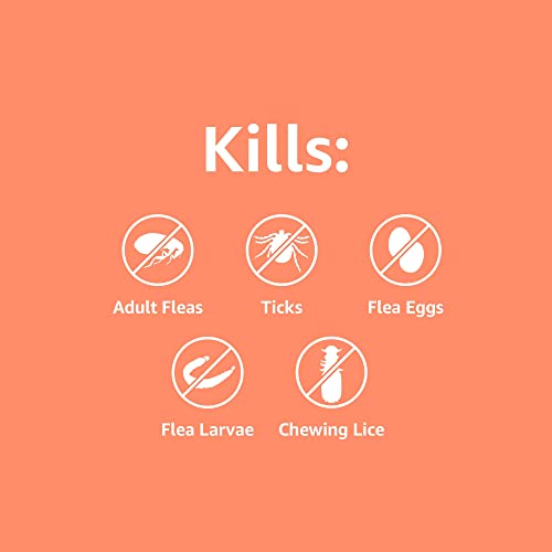 Amazon Basics Flea And Tick Topical Treatment For Small Dogs (4-22 Pounds), 3 Count (Previously Solimo) #TOP3