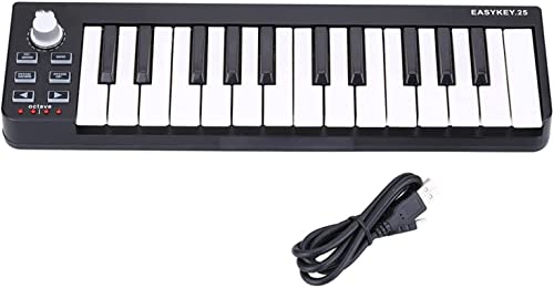 WKLIANGYUANPING Clavier de Piano 25 Mini 25 Portables USB MIDI Clavier de Piano contrôleur électronique - Les Beatles, Paul McCartney, John Lennon, RIngo Starr, George Harrison WKLIANGYUANPING Clavier de Piano 25 Mini 25 Portables USB MIDI Clavier de Piano contrôleur électronique – Image 6