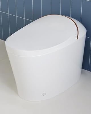 DeerValley Smart Toilet, One Piece Smart Toilet with Bidet Built in, Elongated Toilet with Auto Open & Close, Auto Flush, Warm Water Sprayer & Dryer, Heated Seat, Foot Kick Operation