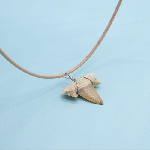 FROG SAC Natural Shark Tooth Necklace for Men, Genuine Fossil Shark Teeth, Cool Sharktooth Beach Necklaces for Women, Beachy Surfer Choker Jewelry