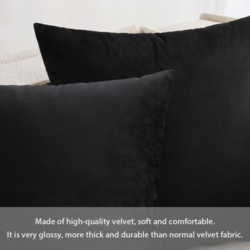 Image of MIULEE Velvet Throw Pillow Covers 12x20 Inch, Pack of 2 - Black, Soft Solid Lumbar Decorative Pillow Covers Modern Luxury Home Decor for Chair Couch Sofa Bedroom Livingroom