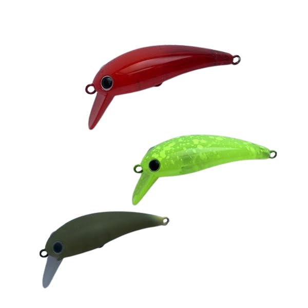 ムカイ 41y+e3vH3UL._UF350,350_QL50_.jpg