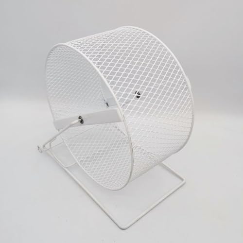 Quirix TCgzC[, nX^[񂵎 - xXg 񂵎 TCgzC[ jOzC[TCgX|[cjOzC[Ǌ| É񂵎 TCgzC[ S Â pߋ (21CM,A)