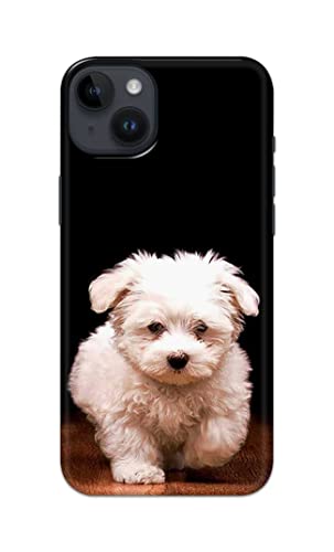 Image of Printed Hard Back Cover Case for Apple iPhone 14 Back Cover (Puppy Dog) -203