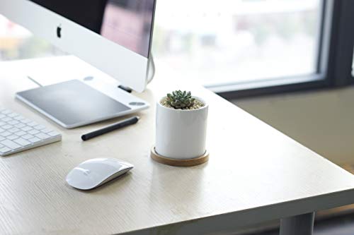 Succulent Plant Pots - 3 Inch Small White Ceramic Planter Mini Flower Containers Indoor with Drainage Hole and Bamboo Tray for Succulents or Cactus, Set of 2