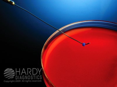 Inoculating Needles w/Aluminum Handle (5/pk.)