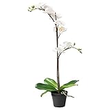 Limpiar con un paño seco. IKEA 802.859.09 Fejka - Planta Artificial en Maceta (orquídea), Color Blanco