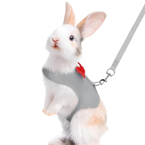 O[rbgn[lXƃ[VZbgA킢{t\tgʋCbVoj[xXgn[lXETMqLtFbgq^ybgEH[LOAS