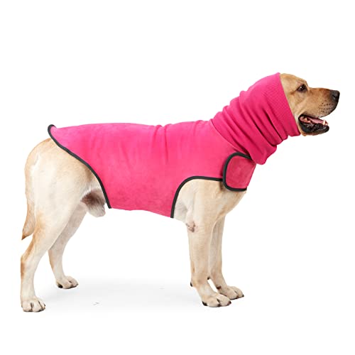 Acquastilla Griglia Filtro Per Lavabo - Cestello In Plastica Nera Per Piletta - Foto 11