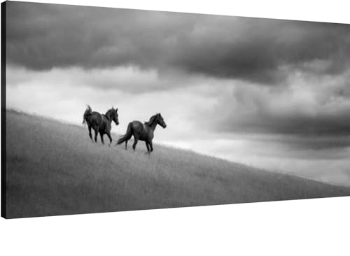 Canvas Wall Art for Living Room Bedroom Kaimanawa wild horses Big Large Wall Art Decor Framed Painting Wall Pictures Prints Artwork Office