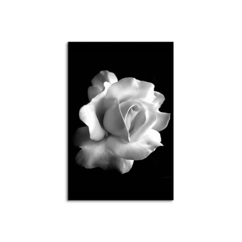 ����G �A�[�g�p�l�� ���ۉ� ���� �� 3 ���Z�b�g ���� �|�X�^�[ �A�[�g�t���[�� �Ǌ|�� ���_�� �A�[�g�{�[�h �C���e���A �G�� ������ꂽ �C���e���A�������� �ؘg�t���̊����i (50x70cm�i20x28in�j,C)