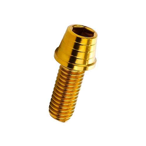 �L���b�v�{���g M8×20mm �e�[�p�[�V�F���w�b�h �X�e�����X�� �S�[���h �J�X�^���{���g 3�{�Z�b�g