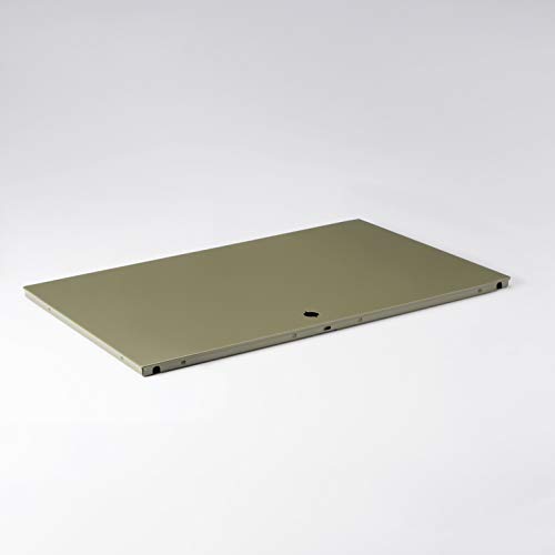 Swissmobilia Hinged Door for USM Haller Line 1802 Olive Metal Element System Dimensions 750 x 250 cm