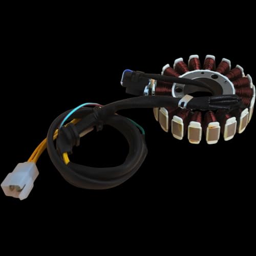 Générateur de moto à 18 pôles pour un allumage stable et une charge optimale
