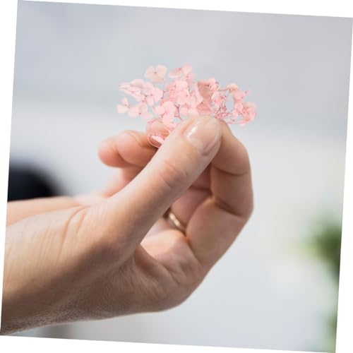 Cabilock 1Pack Pétalos de Hortensia Preservados para Manualidades miniatura 2