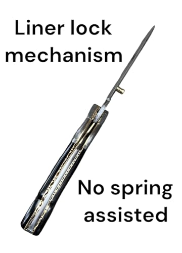 Poshland Limited Edition - FNA-32 Custom Handmade Damascus Steel Folding Knife - Beautiful Camel Bone Handle with Damascus Steel Bolsters (Black Bone)