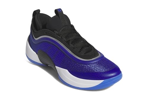 Top 10 Best Nba Signature Shoes Reviewed for Performance 14 Adidas Unisex-Adult D.O.N. Issue 5, Lucid Blue/Black/White, 8