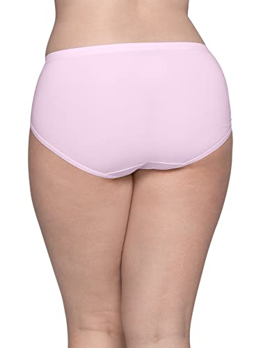 Image of Fruit of the Loom Women's Lightweight Microfiber Underwear, Smooth Under Clothes, Available in Plus Size