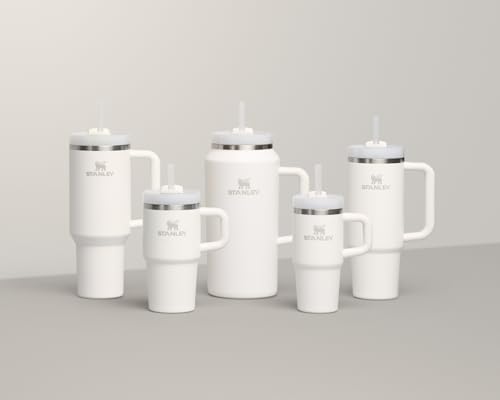 Image of STANLEY Quencher H2.0 Tumbler with Handle and Straw 20 oz | Flowstate 3-Position Lid | Cup Holder Compatible for Travel | Insulated Stainless Steel Cup | BPA-Free | Frost