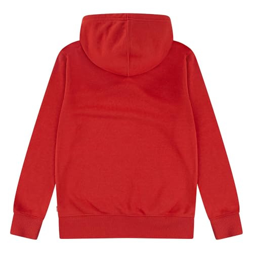 Sweat à capuche homme Levi's Batwing pull décontracté en molleton