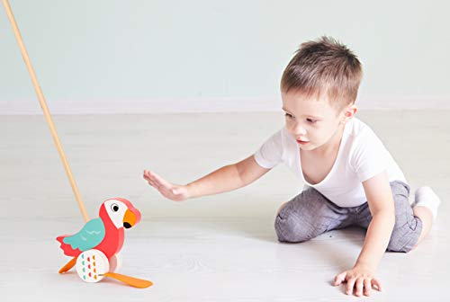small foot Schiebetier Papagei Lori aus Holz, hilft beim Laufenlernen und watschelt, ab 18 Monaten, 10475