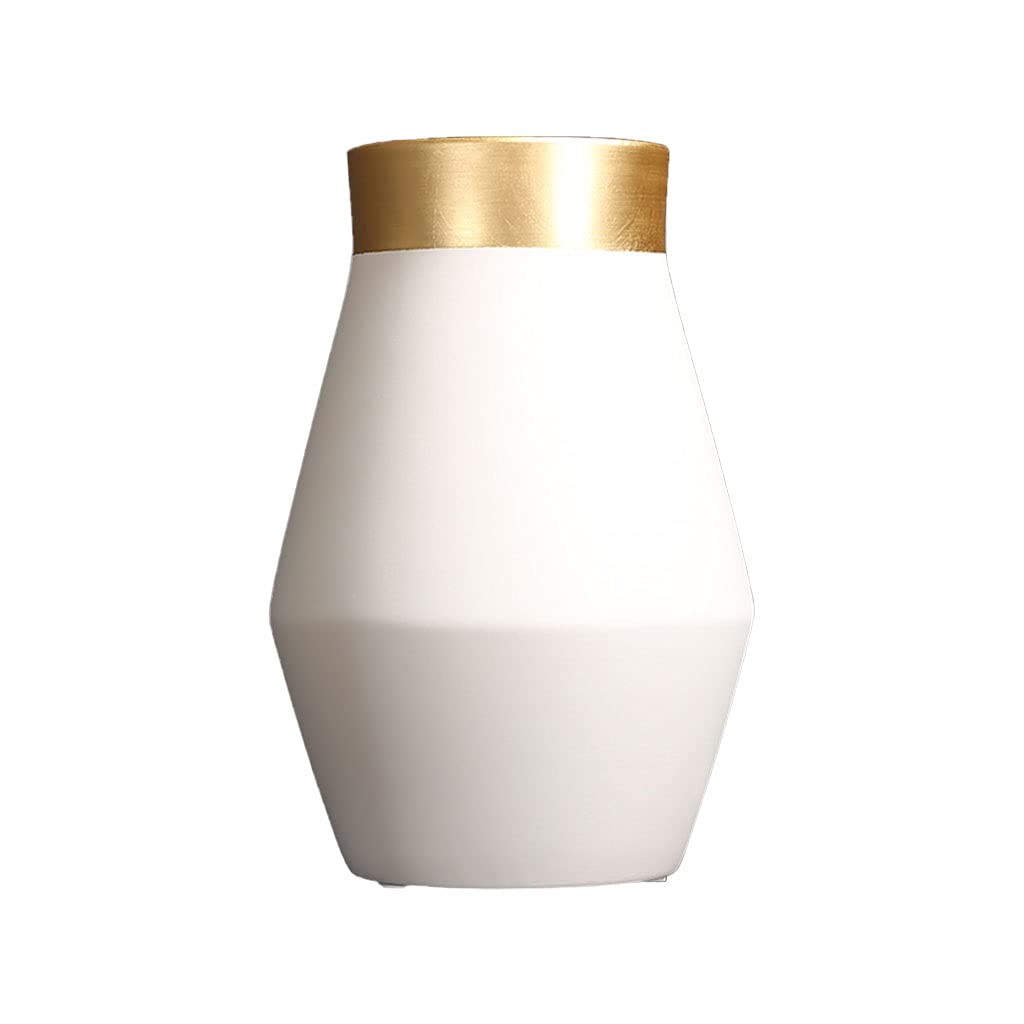Vaso Moderno semplice vaso in ceramica decorazione soggiorno composizione floreale ingresso in stile europeo creativo decorazione da tavolo con fiori secchi Vaso In Ceramica(B)