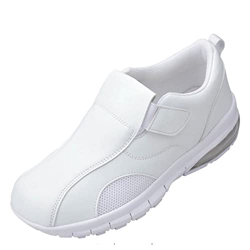 [i[X[] 炭ȂGA[V[Y (xg^Cv) y 3E fB[X 24.5 zCg 2396211A