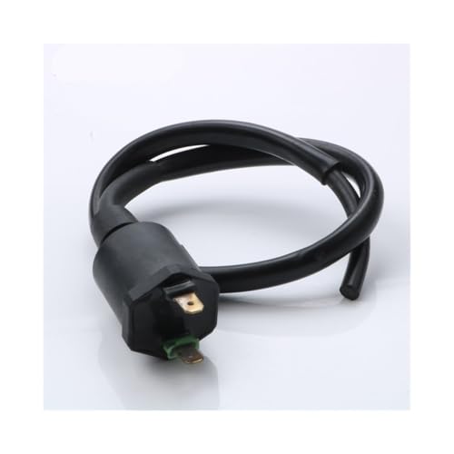 Bobina de encendido para motos 125 200 250 y TLR200 reemplazo 30510-HB5-000 7