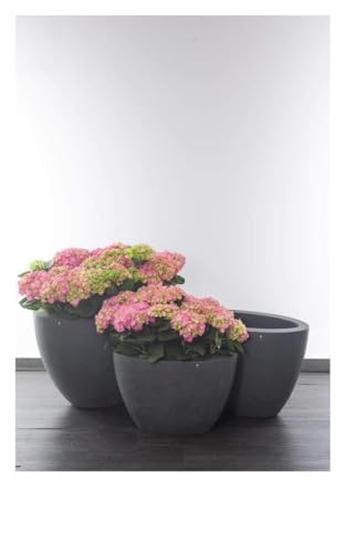 BELLINI Carcasa Talis 65 cm antracita 411012 Interior 54,5 cm altura 37 cm – Maceta Macetero