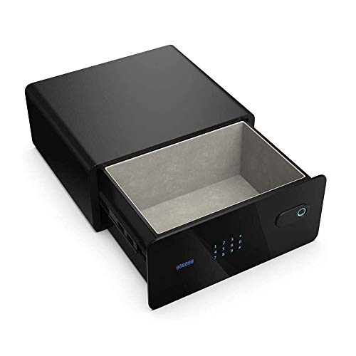 Armoire ignifuge et étanche A4 avec mot de passe électronique et empreinte