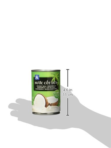 Hs Kokosmilch 17-1% Fett vietnames., 12er Pack (12 x 400 ml)