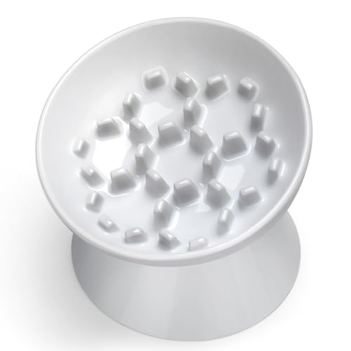 Ceramic Slow Feeder Cat Bowl, 2 Cups Tilted Elevated Cat Slow Feeder Bowl for...